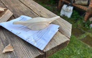 Tir à l'oiseau 🐦